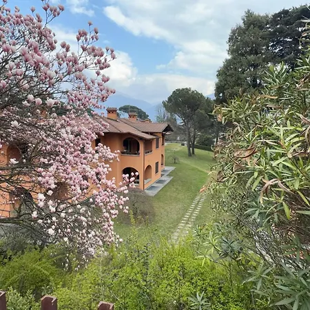 Guesthost - Flat With Parking & Veranda Lejlighed